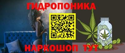 скорость Жуковский