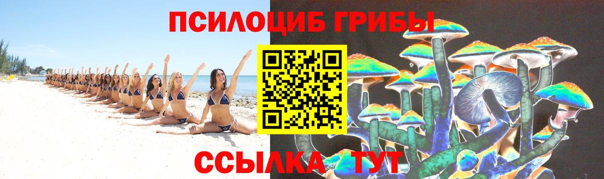 Лянтор  Псилоцибиновые грибы Psilocybe  Вход с VPN 